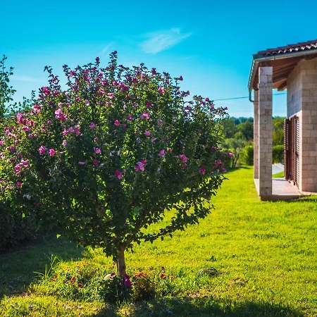 Villa Lujo Drniš